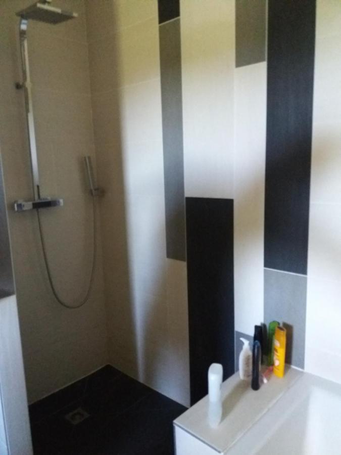 Chambres, Cuisine, Piscine, Spa, Billards, Airhockey, Nature Fillinges Buitenkant foto