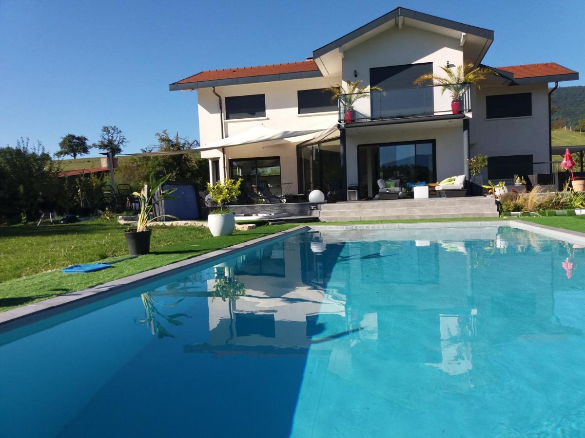 Chambres, Cuisine, Piscine, Spa, Billards, Airhockey, Nature Fillinges Buitenkant foto