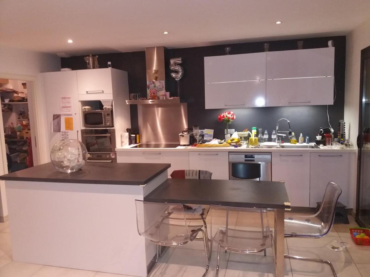 Chambres, Cuisine, Piscine, Spa, Billards, Airhockey, Nature Fillinges Buitenkant foto