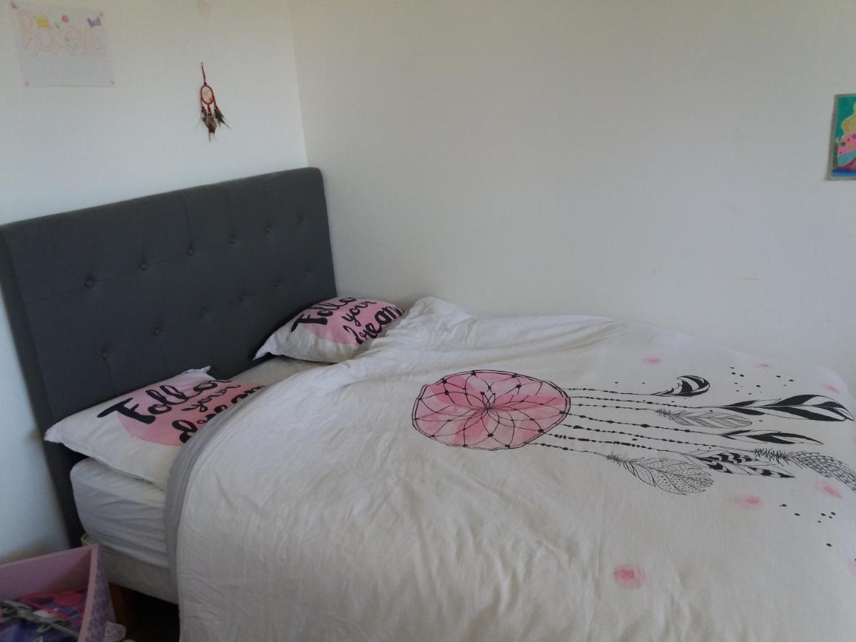 Chambres, Cuisine, Piscine, Spa, Billards, Airhockey, Nature Fillinges Buitenkant foto