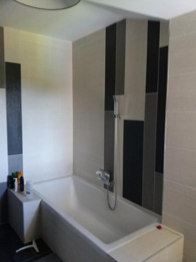 Chambres, Cuisine, Piscine, Spa, Billards, Airhockey, Nature Fillinges Buitenkant foto